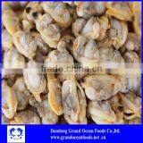 Frozen Boiled Baby Clam Meat thumbnail-2