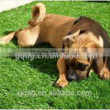 2017 New Two Green Colors Carpet Grass With Good Service thumbnail-4