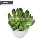 Varied Artificial Succulents Wholesale Artificial Mini Succulents Potted thumbnail-6