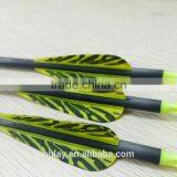 Striped Plastic Vanes Carbon Arrows With Pin Nocks thumbnail-6
