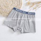 Boys Underwear Shorts 2 to 10 Years Old Boys Boxer Preteen Kids Underwear Boys thumbnail-4