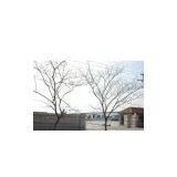 Qingdao Lyrical Hair Co., Ltd. company overview - view 1 thumbnail