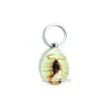 Suplly Real Insect Inside Lucite Acrylic Resin Keychain , Keyring For Gift, So Vivid
