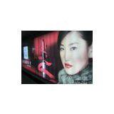 Flex Banner thumbnail-1