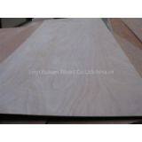 5mm Bintangor , Pencil Cedar Commercial Plywood for Sale