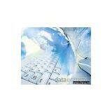 Data Entry thumbnail-1