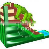 Inflatable Water Slide With Swimming Pool for Play Fun thumbnail-2