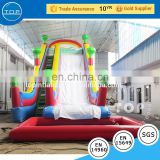 Ploto PVC giant inflatable slide big water slides sale for kids and adults