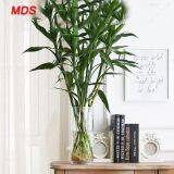 Glassware Wholesale Bohemia Crystal Cylinder Clear Glass Flower Vase