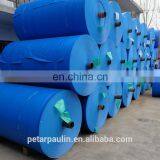 China Powerful Tarpaulin Factory Directly Sell, PE Tarpaulin Sheet, Made of 100% Polyethylene thumbnail-5