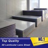 High Definition 50 LPI Pet Lenticular Lens Sheet 50 LPI 3d Printing Lenticular Lens Pet Lenticular Lens Sheet Bahrain thumbnail-3