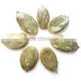 Organic Pumpkin Kernel thumbnail-1