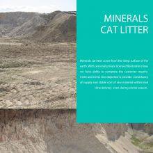 Beijing Youban Youpin Pet Products Co., Ltd company overview - view 4 thumbnail