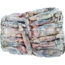 Frozen Black Squid Indian Ocean Squid Indian Squid Factory Direct Sale thumbnail-2