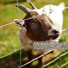 gettyimages-713858427-2048x2048