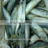 Fish Can Canned Mackerel Fish 150-200g