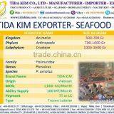 FROZEN WHOLE BABY OCTOPUS VULGARIS CLEANED BABAY OCTOPUS SHRIMP TIDA KIM LOPSTER VIETNAM FISH FILLETS BASA FRESH ALIVE NATURAL thumbnail-2