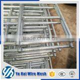 my Test 10mm Concrete Galvanized Reinforcement Welded Wire Mesh Panel Price