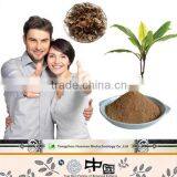 China products aphrodisiac for women Kacip Fatimah Extract