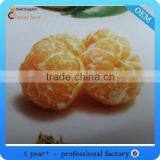 2015 New Fashion Wholesale Clothing Supplier thumbnail-5