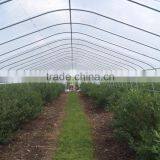 Tunnel Greenhouse thumbnail-2