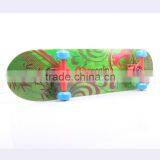 Long Plastic Skateboard for Sale Mountain Skateboard Longboards CE Cetification thumbnail-4