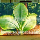 Products China Supplier CE Approved P3/4/5/6/7.62/10 Led Dance Screen Stage Rental Led Display Xxx Video thumbnail-4