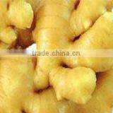 Dry Ginger /Fresh Dried Ginger thumbnail-1
