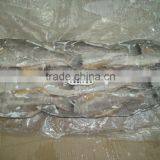 FROZEN LEATHER JACKET WHOLE thumbnail-5