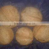 Fresh Mature Cocounts thumbnail-2