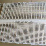 Chicken Plastic Slat Floor