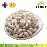 2016 Crop Wholesale White Beans Long Shape for Sales thumbnail-2
