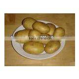 Cold Storage for Potato thumbnail-1