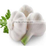 Wholesale Natural White Fresh Garlic thumbnail-2