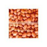 Peanut Java Type thumbnail-1