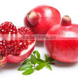Red Sweet Pomegranate tree