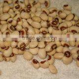 JSX Organic Mung Bean Brown Eye Beans China Supply Grade A Brown Cowpea thumbnail-2