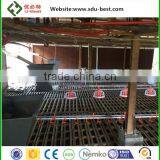 Top Quality Automatic Poultry Feeder Pan For Broiler Breeder Chicken thumbnail-2