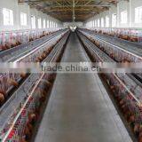 Poultry Dung Removing Machinery Equipment /layer Poultry Cages for Nigeria/africa thumbnail-6