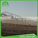 China Venlo Glass Greenhouse thumbnail-5