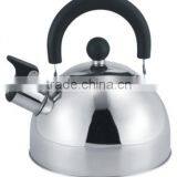 Kettle, Stainless Steel Kettle, Purple Stainless Steel Kettle