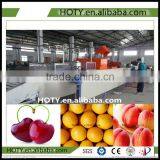 3ton/h Food Grade Industrial Fruit Fish Cassava Fruit Washing Grading Waxing Machine thumbnail-1
