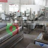 Shenghui Machine Hot Sell High Quality Fresh Potato Chips Making Machine/french Frying Machine