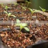 50 Cell, 98 Cell Rectangle Plastic Hole Plug Seed Growing Tray thumbnail-1