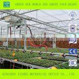 Multi-Span Commercial Polycarbonate Greenhouse for Sale thumbnail-1