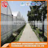 Multi-span Plastic Tomato Greenhouse Hot Galvanized Steel Frame thumbnail-3