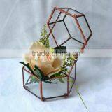 Indoor Decoration Clear Glass Plant Terrarium Hanging Terrarium Geometric thumbnail-2