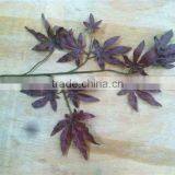 Home and Outdoor Garden Edging Christmas Decoration 60cm or 24inches Height Artificial Small Grass for Green Wall E04 1037 thumbnail-2