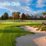 M5 Mini Blance Scooter 2016 Custom Designed for Golf for September Procurement Festival thumbnail-6