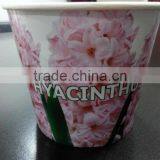 Mini Plant,Mini Garden Plant,Mini Paper Plant thumbnail-1